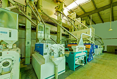 湖南金珠米業(yè)有限公司3D全景展示