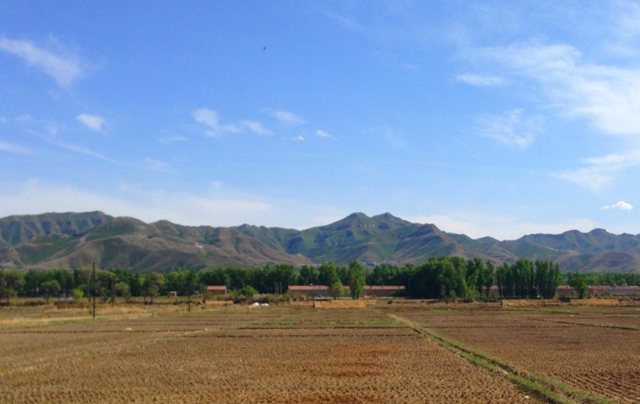 五純生態(tài)農(nóng)業(yè)依靠智慧農(nóng)業(yè)技術(shù)讓種植更科學(xué)