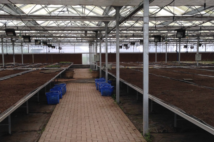 重慶璧山智能化育苗中心