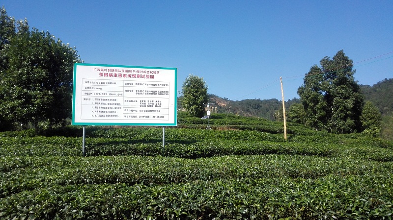 千年茶葉之鄉(xiāng)利用智慧農(nóng)業(yè)進(jìn)行精細(xì)種植管理