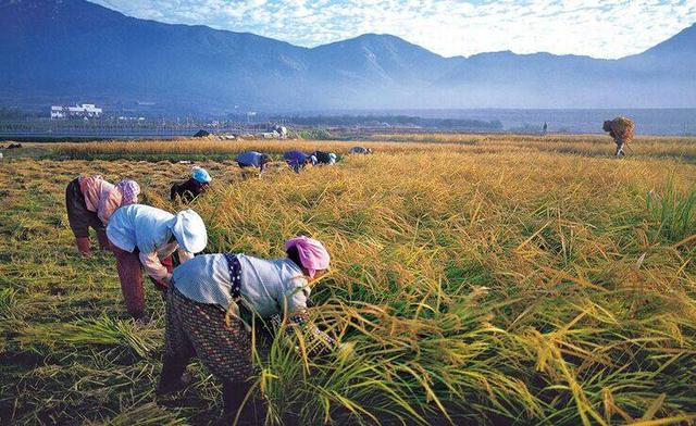 ���װ�ȫ�¼��l�����������ҵ�ˮ���s��ȫ����Դ����Դ�^�ѿ�Ʒ�|(zh��)