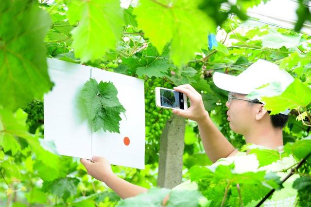 �ďU���ķ�֮�������ш@����Ҳ�ܞ���I(y��)���^����(y��ng)��(y��u)�|(zh��)���(y��ng)��õ��