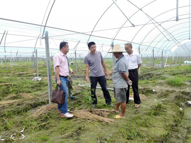 �ďU���ķ�֮�������ш@����Ҳ�ܞ���I(y��)���^����(y��ng)��(y��u)�|(zh��)���(y��ng)��õ��