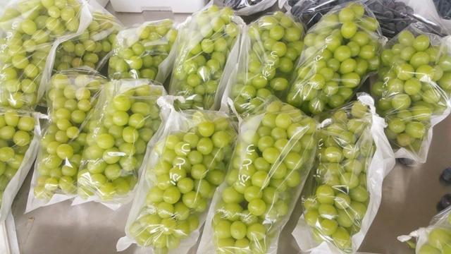 ���C���������Y���r(n��ng)���T�����ѹܼҞ��九(ji��)�s�����M��15�f