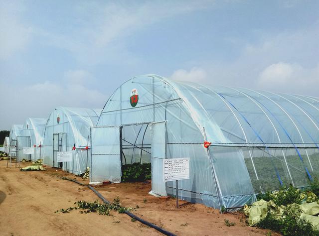 �Ї����W(w��ng)�y���읙�������_���R����N�����ܷNֲ