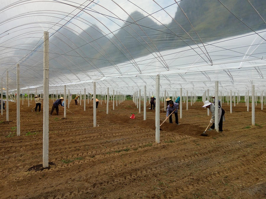 �����a(ch��n)�I(y��)��ؚʾ���������ǻ��r(n��ng)�I(y��)��(bi��o)��(zh��n)�����a(ch��n)