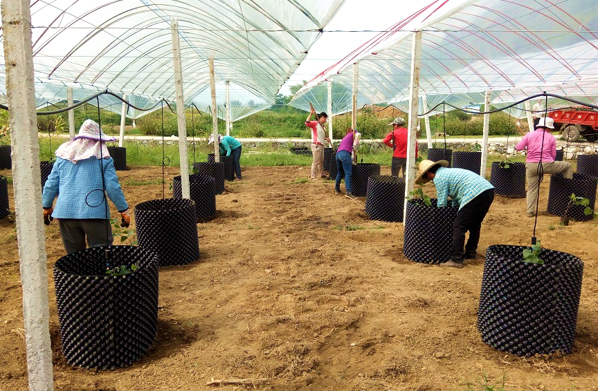 �����a(ch��n)�I(y��)��ؚʾ�����أ��ǻ��r(n��ng)�I(y��)��(bi��o)��(zh��n)�����a(ch��n)