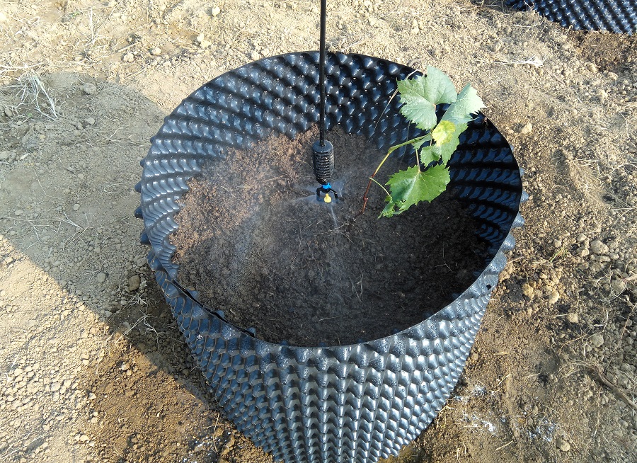 �����a(ch��n)�I(y��)��ؚʾ���������ǻ��r(n��ng)�I(y��)��(bi��o)��(zh��n)�����a(ch��n)