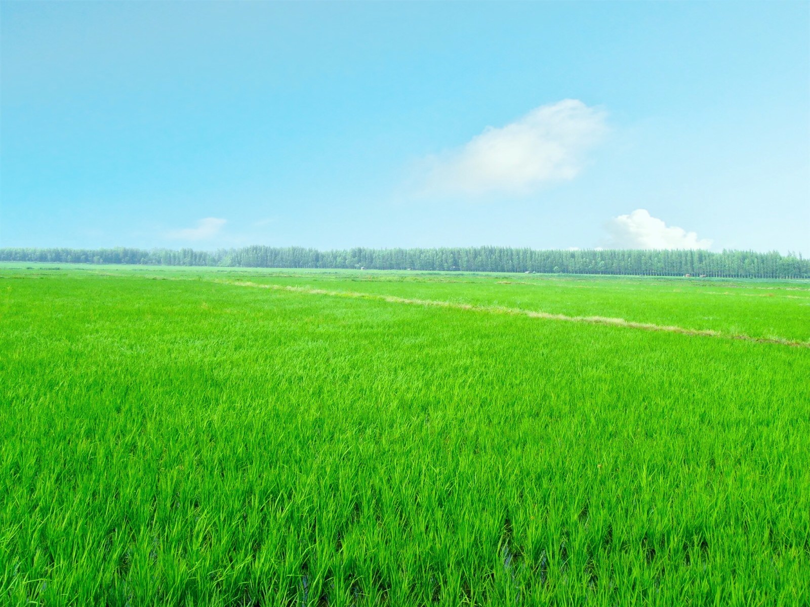 �Gˮ��ɽ���ǽ�ɽ�yɽ�����ǻ��r(n��ng)�I(y��)�������r(n��ng)�I(y��)��(li��n)�W(w��ng)���������B(t��i)�r(n��ng)�I(y��)�����o(h��)�W(w��ng)