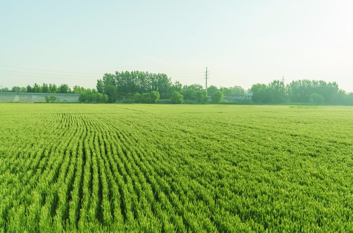 ���vʷ�ӛ�Ŀ��y���S���^(q��)����������ǻ��r(n��ng)�I(y��)�Ŀ�܇���ɞ�һ������