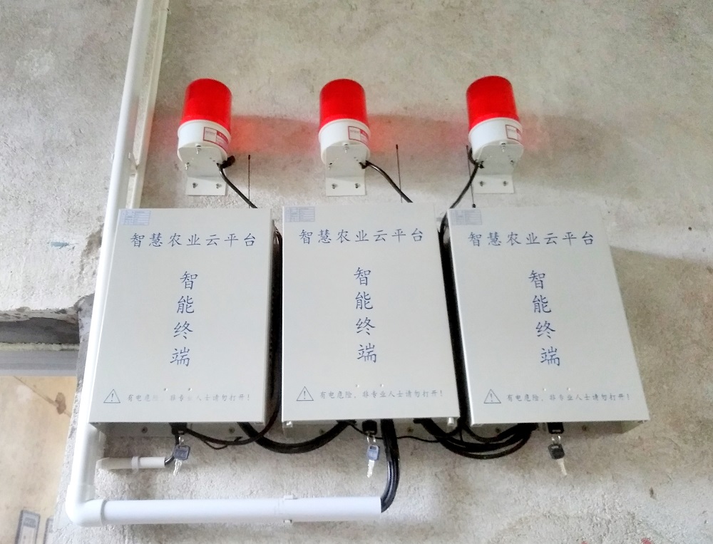 ���vʷ�ӛ�Ŀ��y���S���^(q��)����������ǻ��r(n��ng)�I(y��)�Ŀ�܇���ɞ�һ������