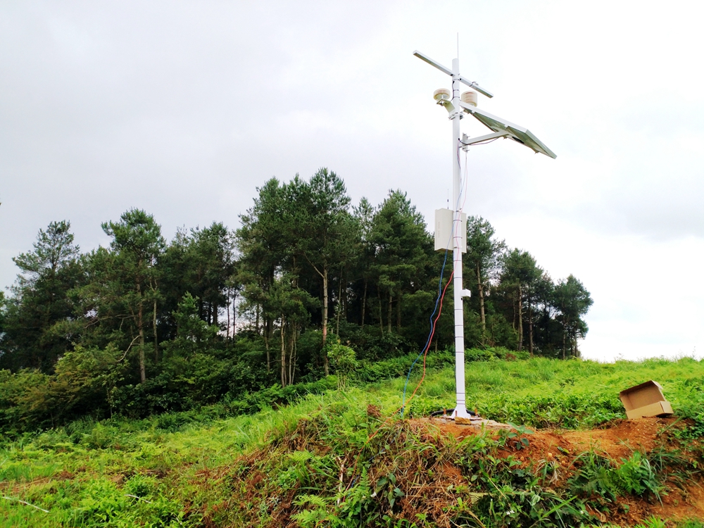 �F�݄�(chu��ng)�� �Y�����~����