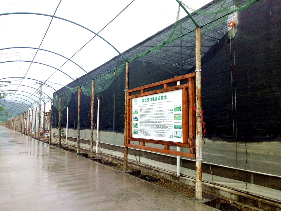 �����߲���������