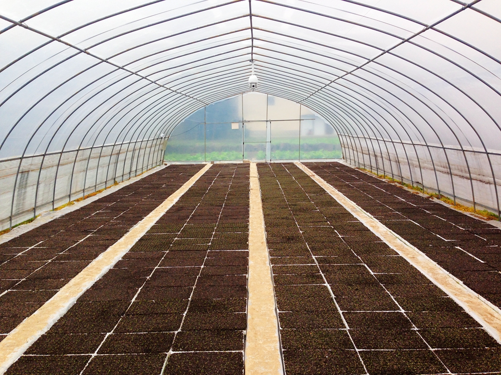 �ƶ�̖��(sh��)��(j��)ƽ�_ ���x�r���(zh��n)