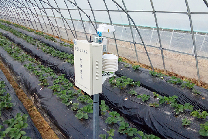 ����ʹ��ݮ���ֵ�c��(sh��)������ı������ǈ�(ji��n)�����ƵĘ�(bi��o)��(zh��n)������