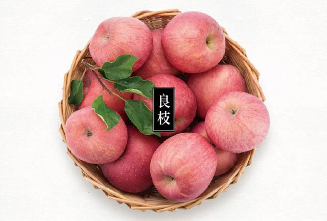 ����֦���O���ğ��N�������ǌ��Nֲ����˜ʵ����