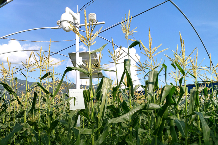 ��΢��ˮ�����ס����H��ζ�ٵĄ�(chu��ng)�������ǘ�(bi��o)��(zh��n)�Nֲ����������(j��)