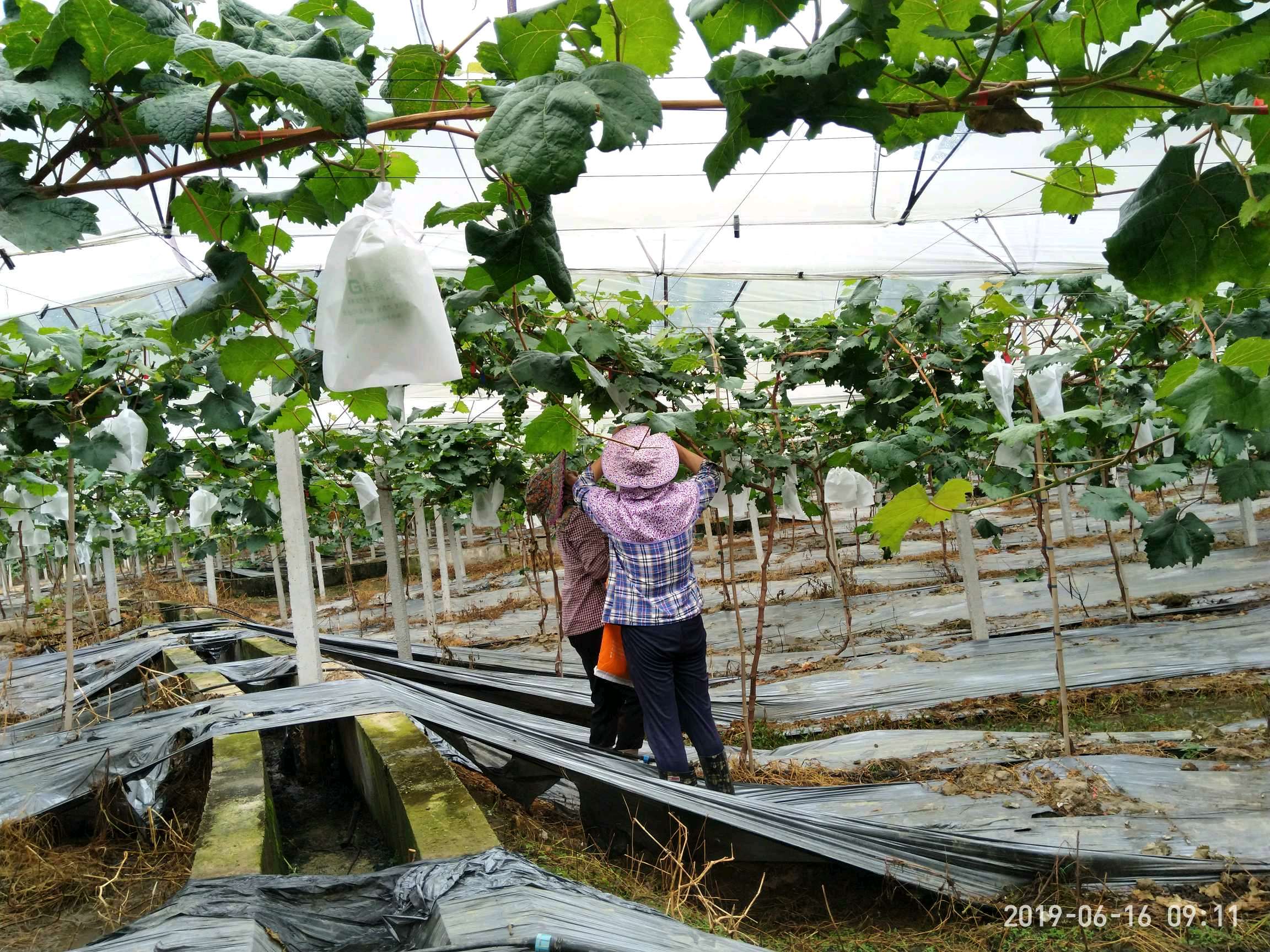 ���ݰ����(zh��n)���ш@�Ķ�λѲ�@���r(n��ng)��ӛ�