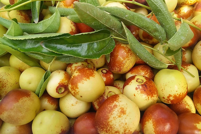 �읙�������ܱO(ji��n)�؃x����С�����Ճ�(y��u)��(li��n)�������������������ԃr�ȳ������r(n��ng)��ֵ�Ó���