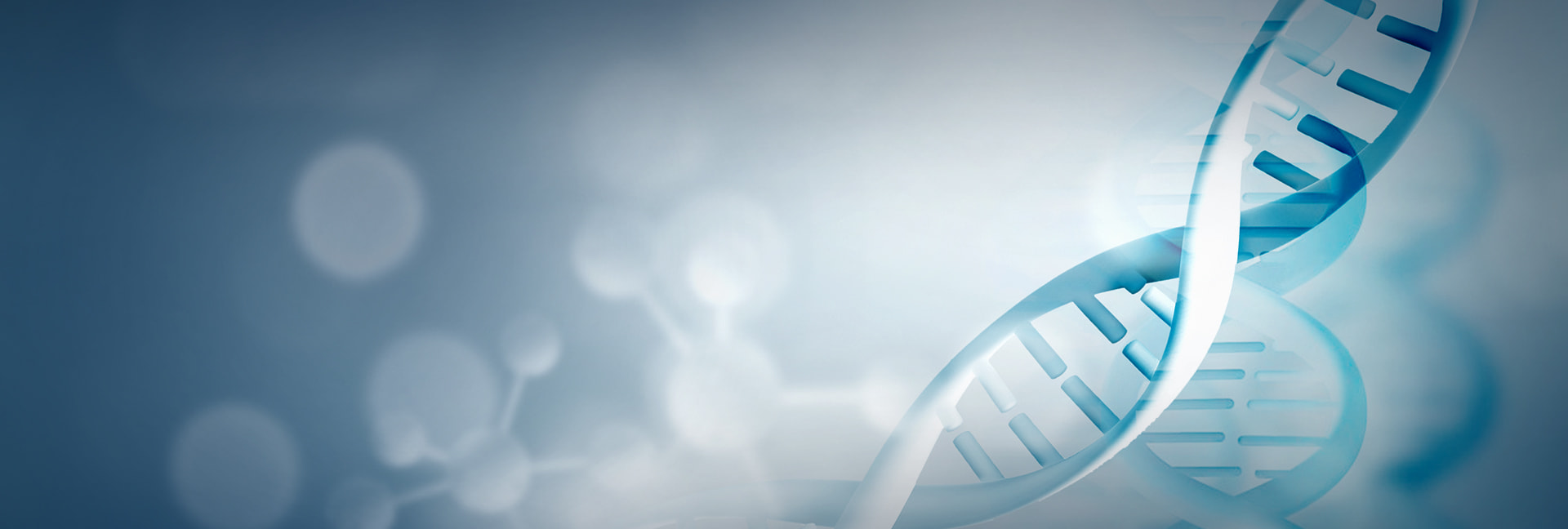 �����t(y��)����Q����