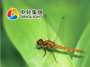 輕工集團(tuán)網(wǎng)站建設(shè) 輕工集團(tuán)網(wǎng)站建設(shè)