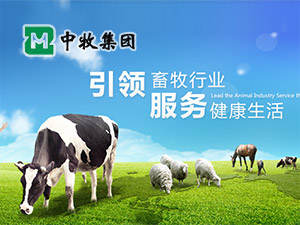 �������F�W(w��ng)վ���O(sh��)