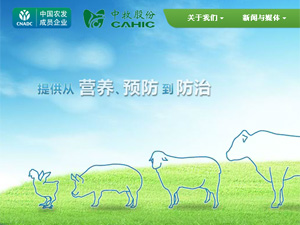 �����ɷݾW(w��ng)վ���O