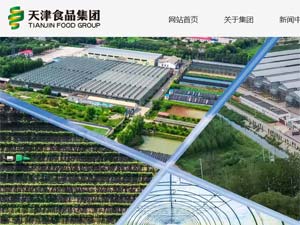 ���ʳƷ���F(tu��n)�W(w��ng)վ���O(sh��)