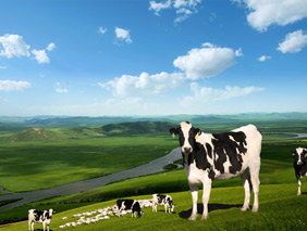 節(jié)能環(huán)保網站建設方案