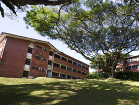 學校校園網站建設方案