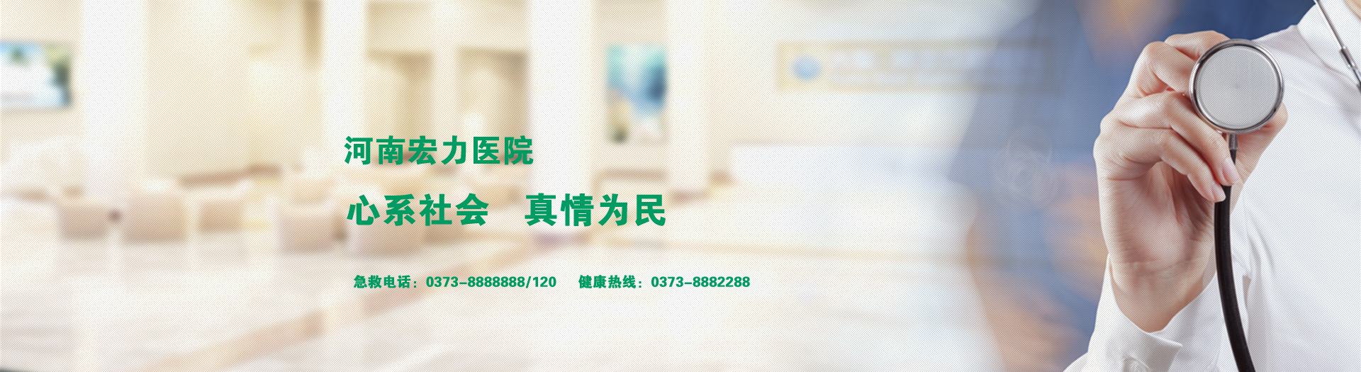 建站百科 建站百科