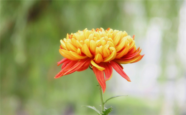 深度探究:網(wǎng)站用戶體驗受哪些因素影響1