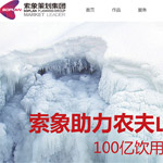 索象營(yíng)銷策劃集團(tuán)網(wǎng)站建設(shè)