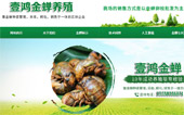 壹鴻金蟬養(yǎng)殖網(wǎng)站建設