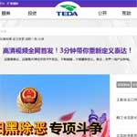 天津經(jīng)濟(jì)技術(shù)開發(fā)區(qū)政務(wù)服務(wù)平臺網(wǎng)站建設(shè)