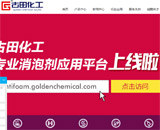 南京古田化工有限公司網(wǎng)站建設