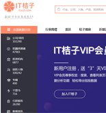 IT橘子網(wǎng)站建設(shè)