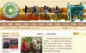 中國(guó)考古網(wǎng)站建設(shè)