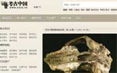 考古中國(guó)網(wǎng)網(wǎng)站建設(shè)