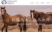 蘇州英倫騎士馬術(shù)俱樂部網(wǎng)站建設(shè)