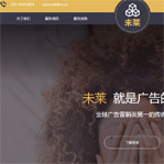 品牌網(wǎng)站建設(shè)