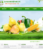 恒欣揚(yáng)貿(mào)易有限公司網(wǎng)站建設(shè)