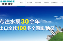 新界泵業(yè)網(wǎng)站建設(shè)