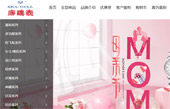 海鷗手表網(wǎng)站建設(shè)