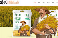 深圳萬(wàn)域包裝設(shè)計(jì)公司網(wǎng)站建設(shè)