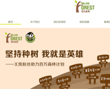 百萬(wàn)森林網(wǎng)站建設(shè)