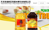 天津濱海新區(qū)利朋鴻泰科技有限公司網(wǎng)站建設(shè)