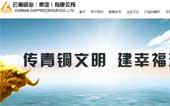 云南銅業(yè)(集團(tuán))有限公司網(wǎng)站建設(shè)