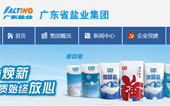 廣東省鹽業(yè)集團網(wǎng)站建設(shè)