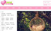 媽媽愛網(wǎng)站建設(shè)